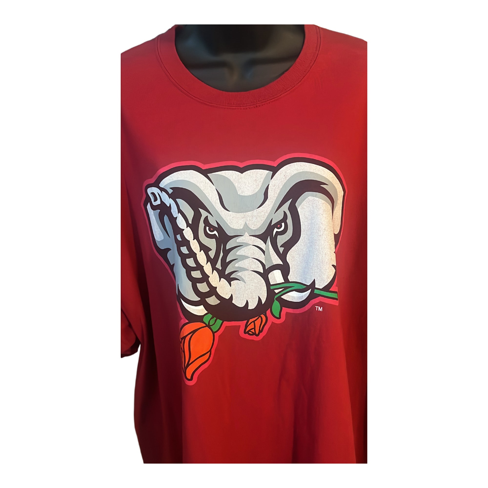 2010 BCS Crimson Tide National Championship T-Shirt Pasadena Gildan Brand Size 2XL